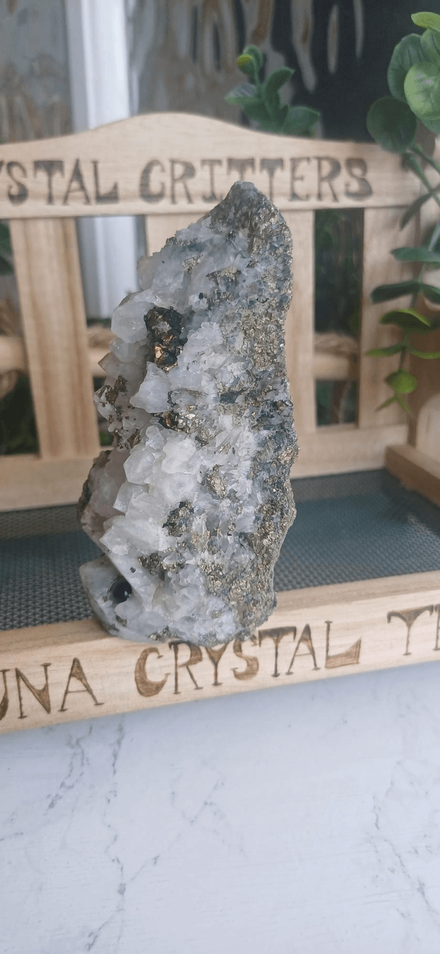 Arum - Crystal Critter 