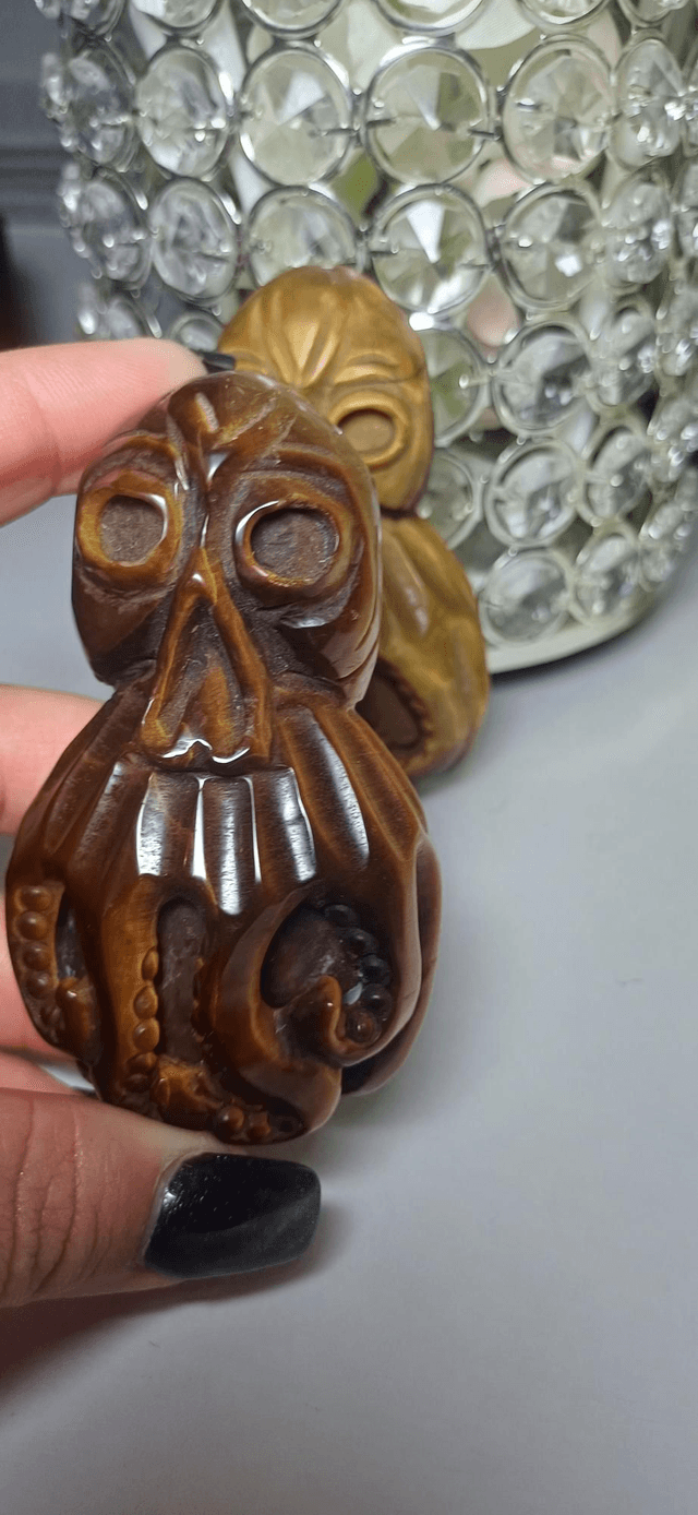 Tiger's Eye Octopus