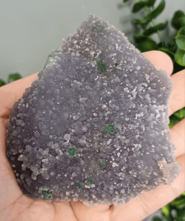 Green and Purple Grape Agate (205g)