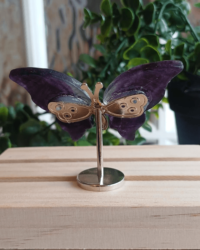 Fluorite Butterfly Wings on Silver Stand – Dark & Light Fluorite 