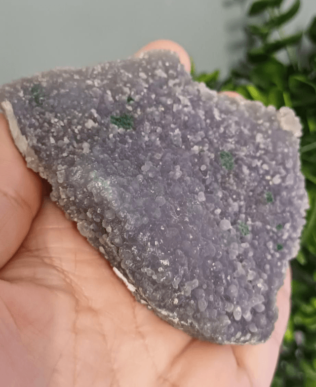 Green and Purple Grape Agate (205g)