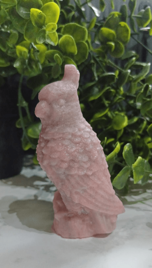 Pink Opal Parrot