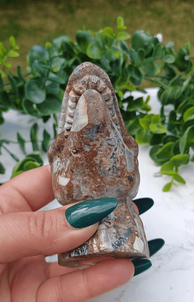 Money Agate T-Rex Dinosaur Crystal | Natural Stone Carved and Polished Tyrannosaurus Rex Head 