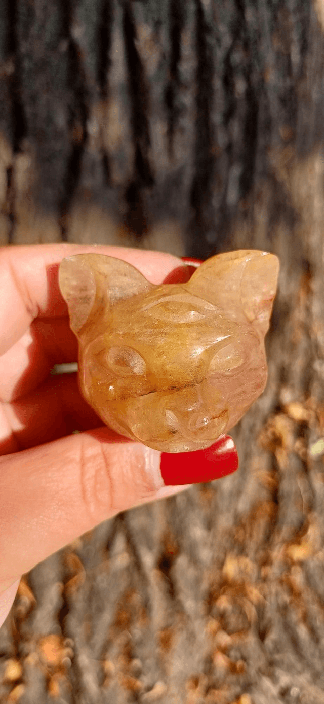 Fire Quartz with Golden Healer cat Head #2