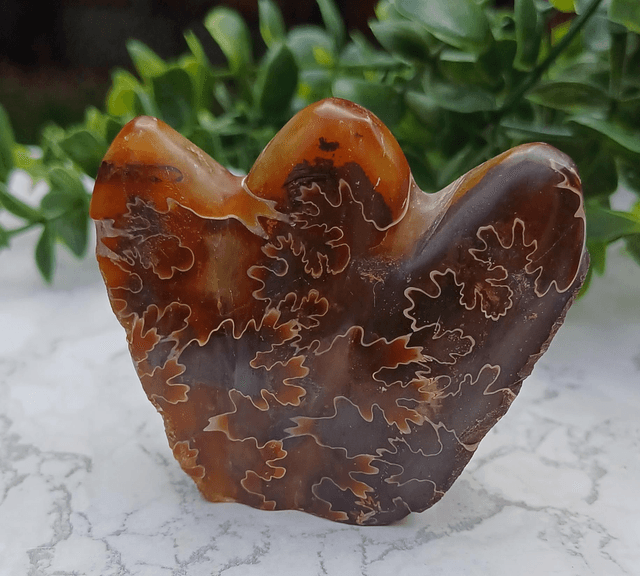 Crystal Critter Autumn. Ammonite 