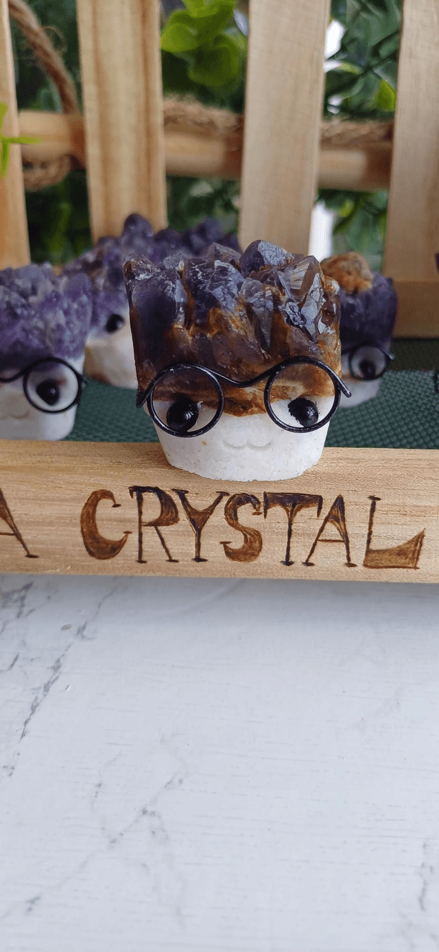 Amystein - Crystal Critter Scholar 