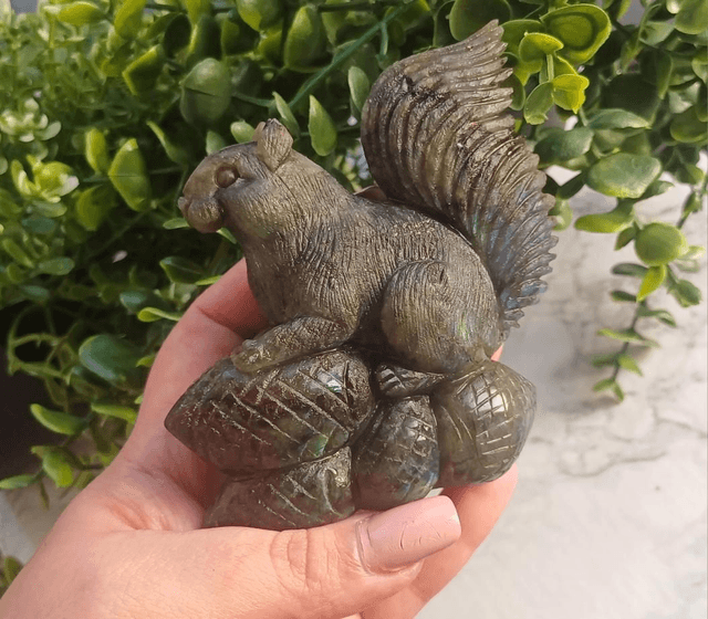 High Quality Labradorite Squirrel
