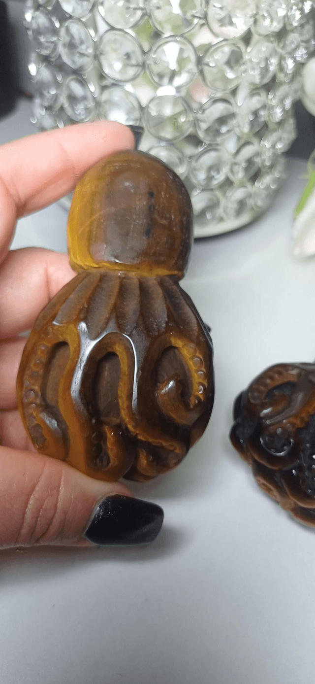 Tiger's Eye Octopus