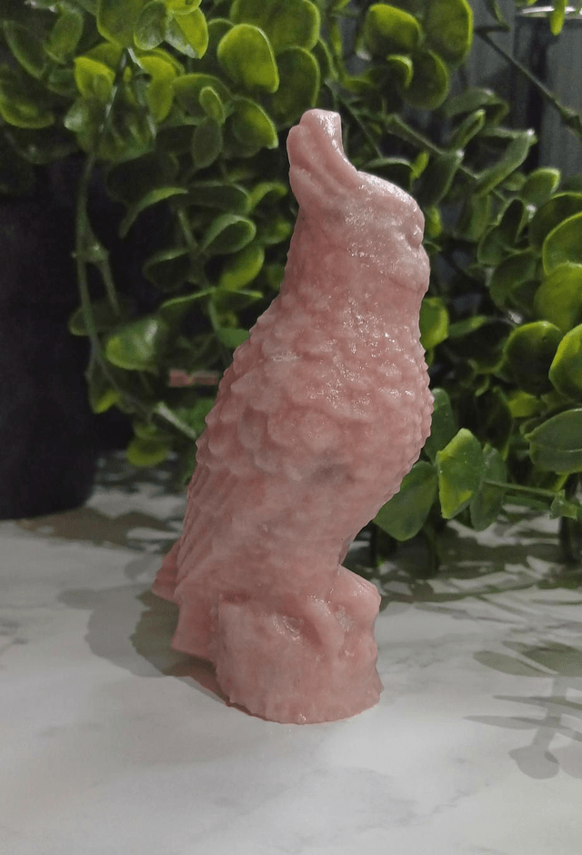Pink Opal Parrot