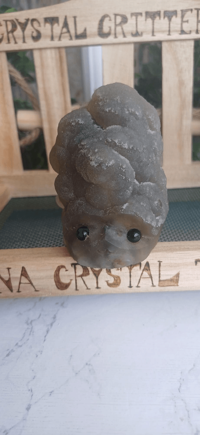 Oranda  - Crystal Critter