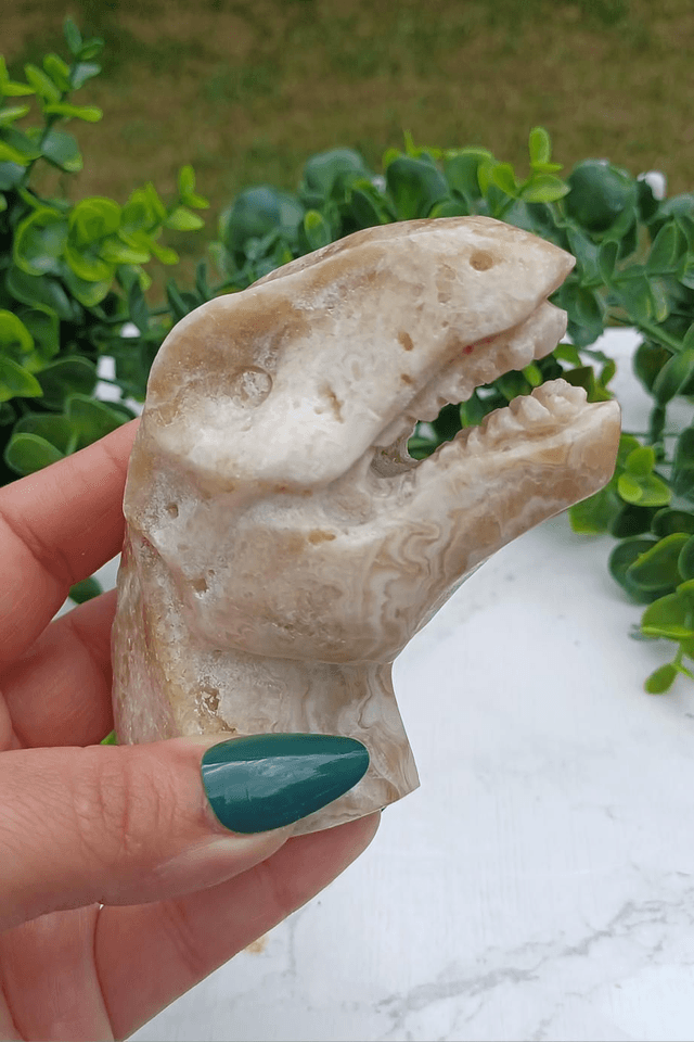 Amber Calcite T-Rex Dinosaur Crystal | Natural Stone Carved and Polished Tyrannosaurus Rex Head no. 2