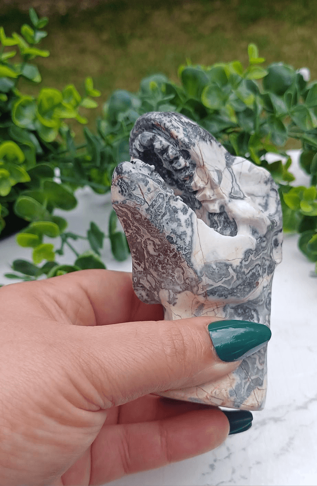 Picassso Jasper T-Rex Dinosaur Crystal | Natural Stone Carved and Polished Tyrannosaurus Rex Head no.2