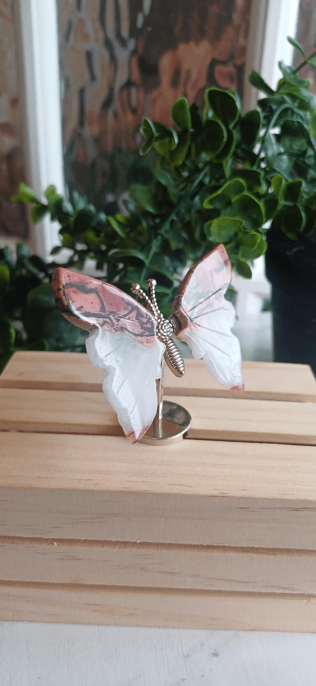 Agate Butterfly Wings on Silver Stand