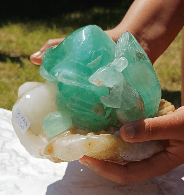 Fluorite Squirrel with Mushroom