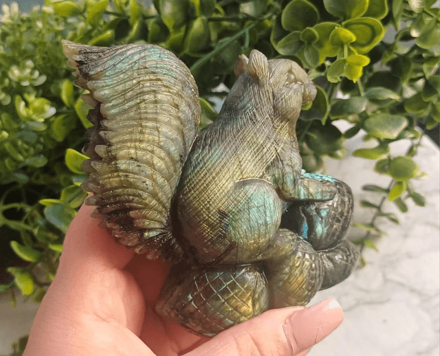 High Quality Labradorite Squirrel