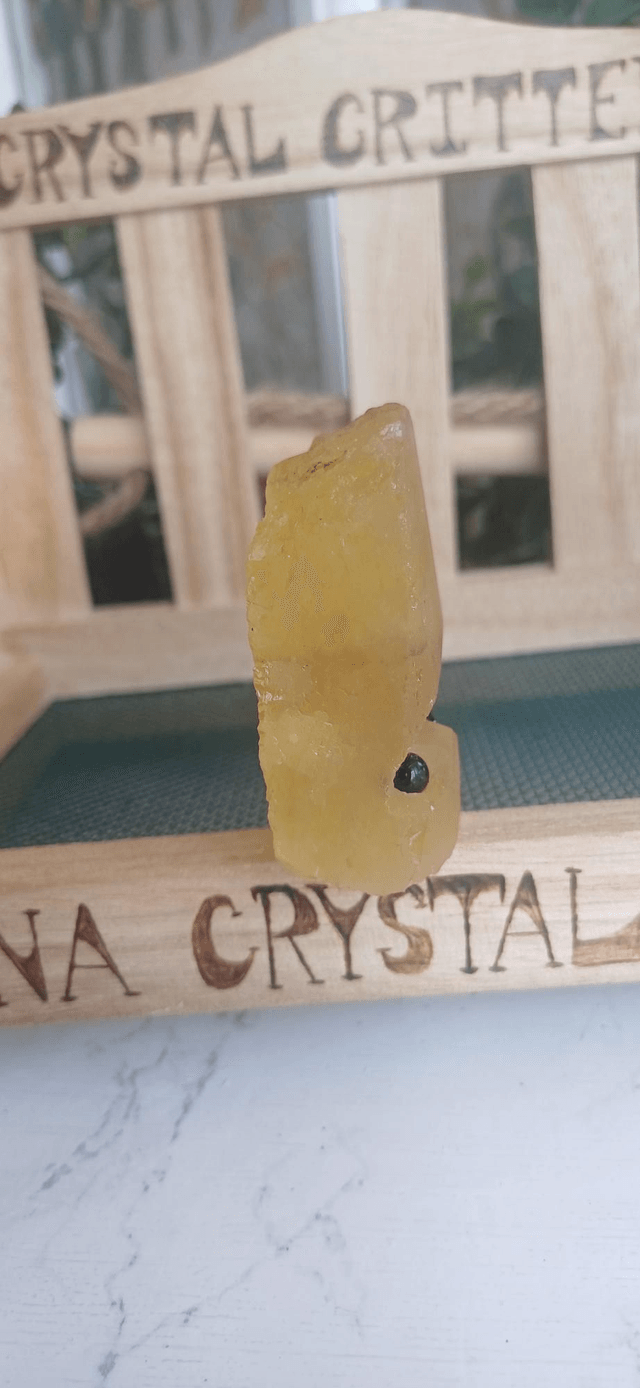 Lolly - Crystal Critter