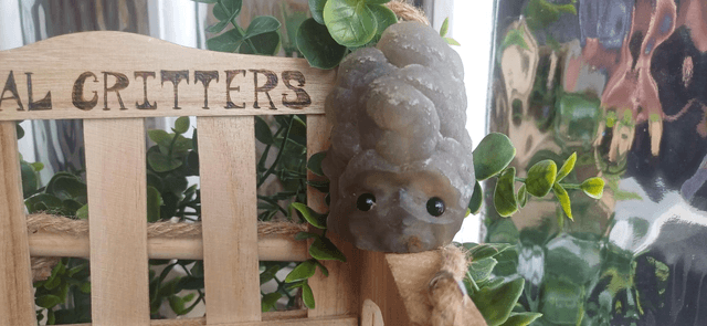 Oranda  - Crystal Critter