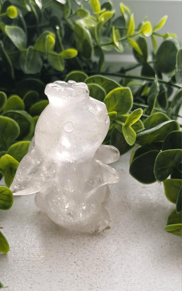 Clear Quartz moon facing Rabbit