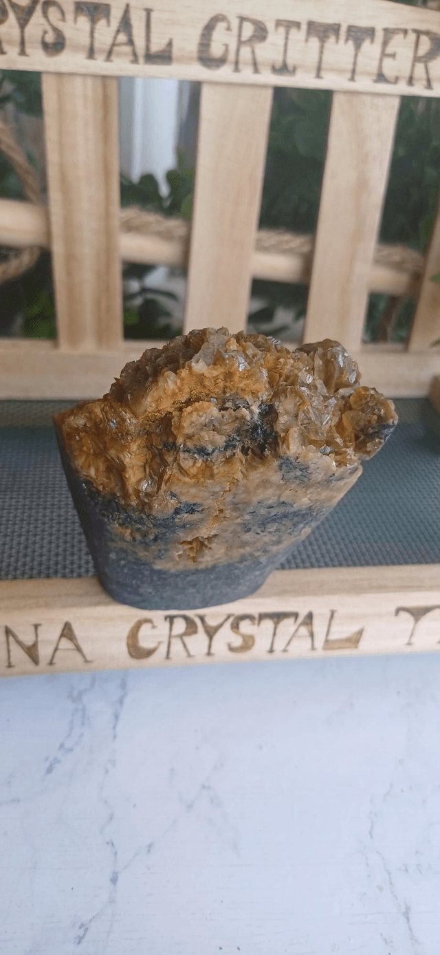 Fernin - Crystal Critter