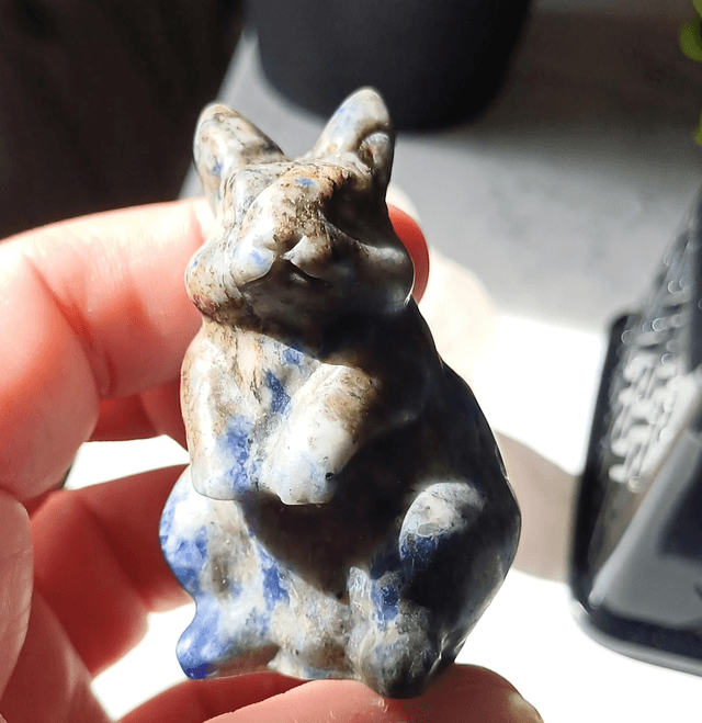 Scar Sodalite Bunny Rabbit