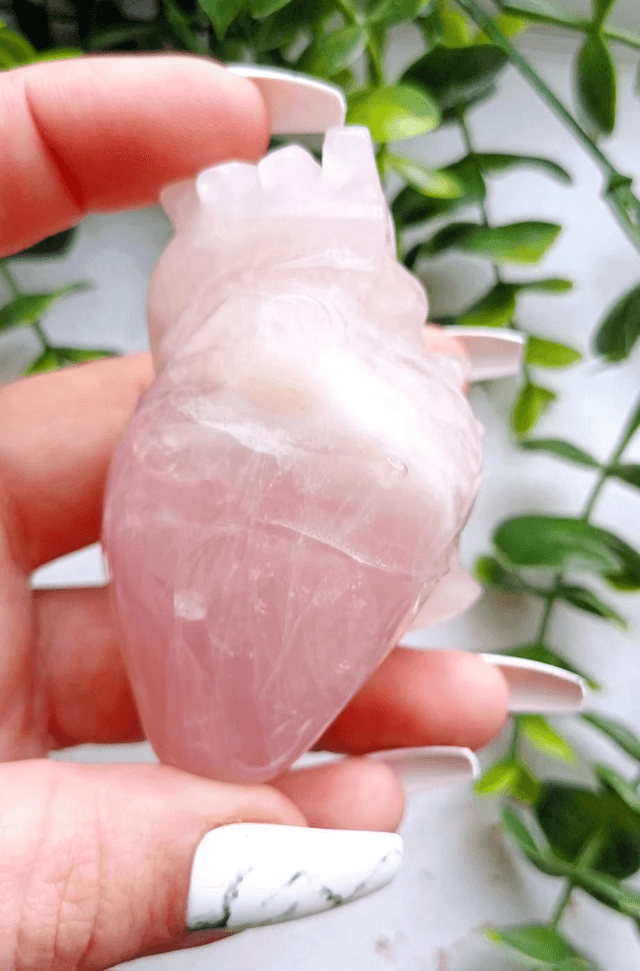 Rose Quartz Anatomical Heart