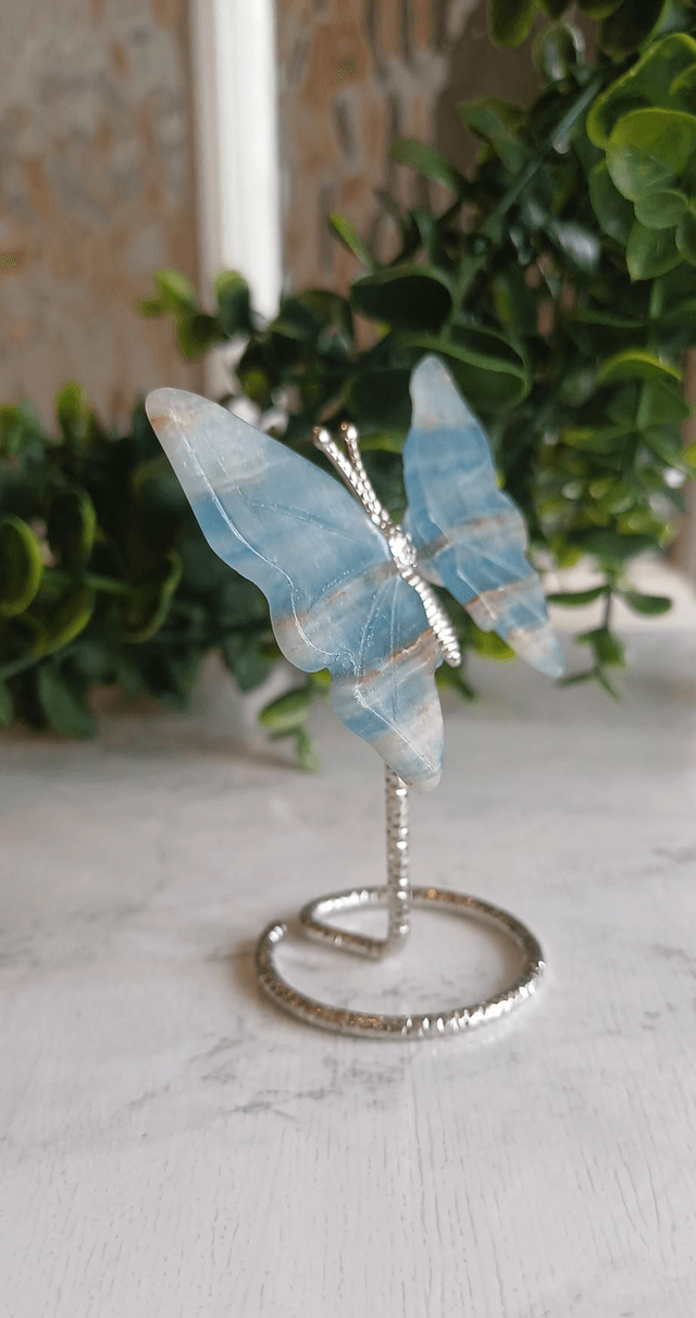 Blue Onyx Butterfly wings on Silver Stand