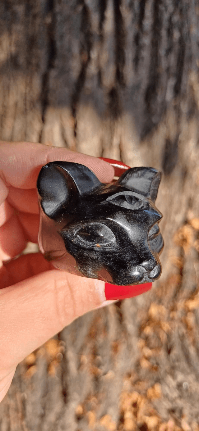 Obsidian Third Eye Cat Head