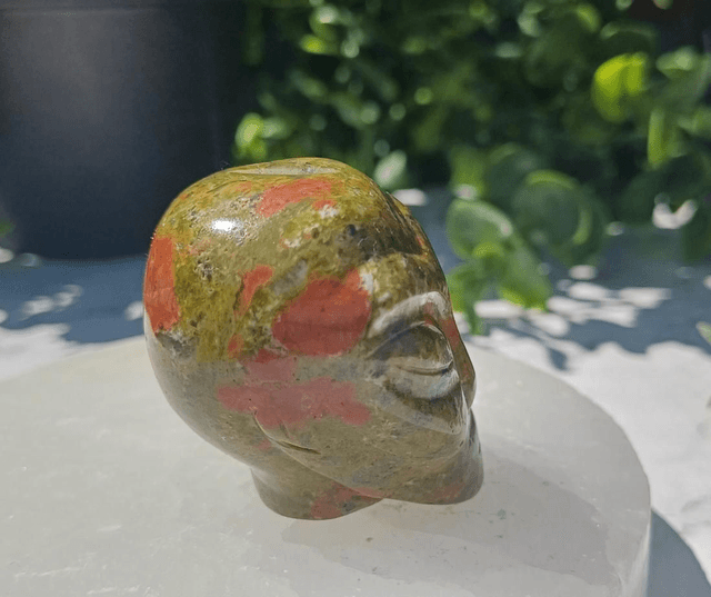 Alien Head