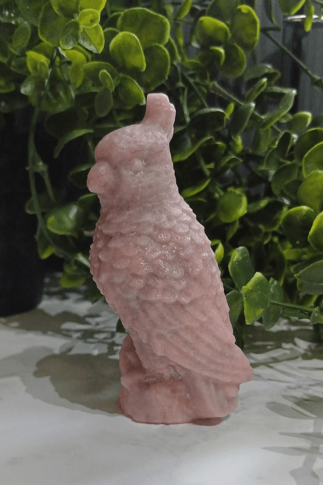 Pink Opal Parrot