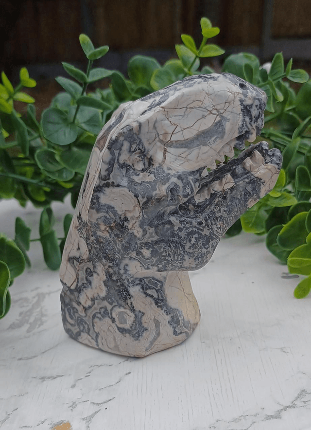 Picassso Jasper T-Rex Dinosaur Crystal | Natural Stone Carved and Polished Tyrannosaurus Rex Head no.2