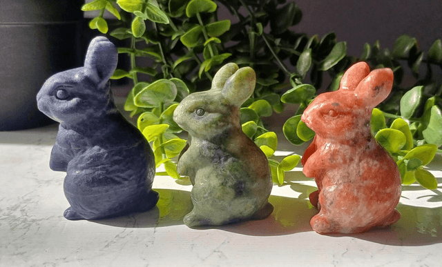 Bunny Rabbits