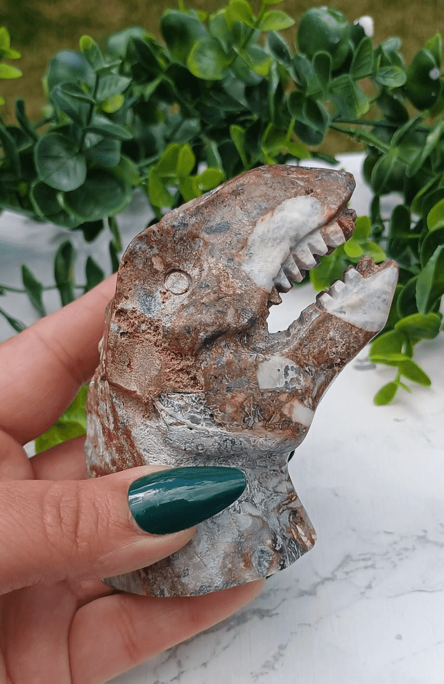 Money Agate T-Rex Dinosaur Crystal | Natural Stone Carved and Polished Tyrannosaurus Rex Head 
