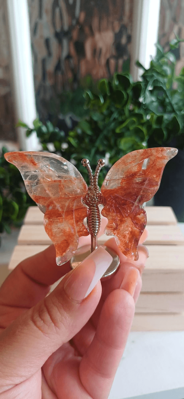 Fire Quartz Butterfly Wings on Silver Stand