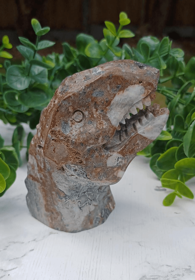 Money Agate T-Rex Dinosaur Crystal | Natural Stone Carved and Polished Tyrannosaurus Rex Head 