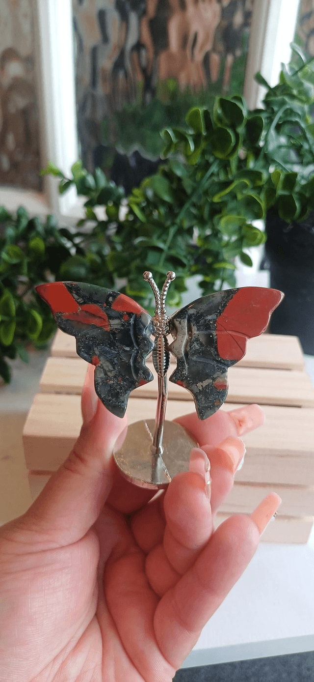 African Bloodstone Butterfly Wings on Silver Stand