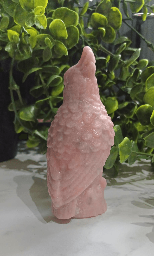 Pink Opal Parrot