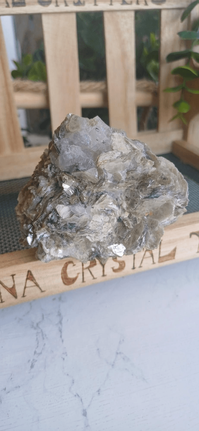 Liora - Crystal Critter 