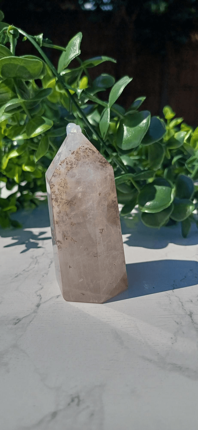 Dentritic Garosil Quartz Tower 5 (101g)