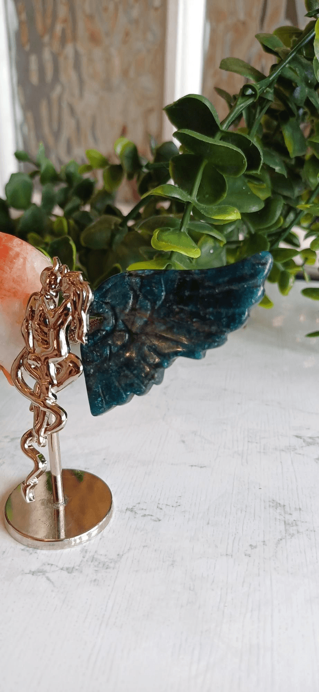 Fire Quartz & Apatite Angel and Demon Lover Wings on Stand