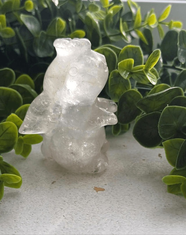 Clear Quartz moon facing Rabbit