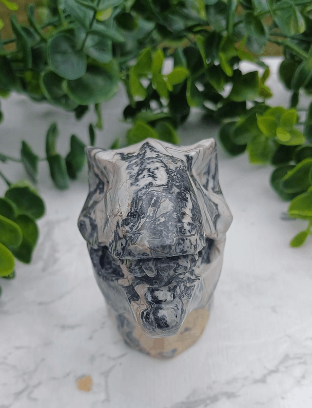 Picassso Jasper T-Rex Dinosaur Crystal | Natural Stone Carved and Polished Tyrannosaurus Rex Head no.2