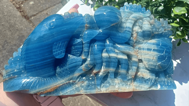 Blue Onyx Octopus, Dolphin, Fish Under the Sea