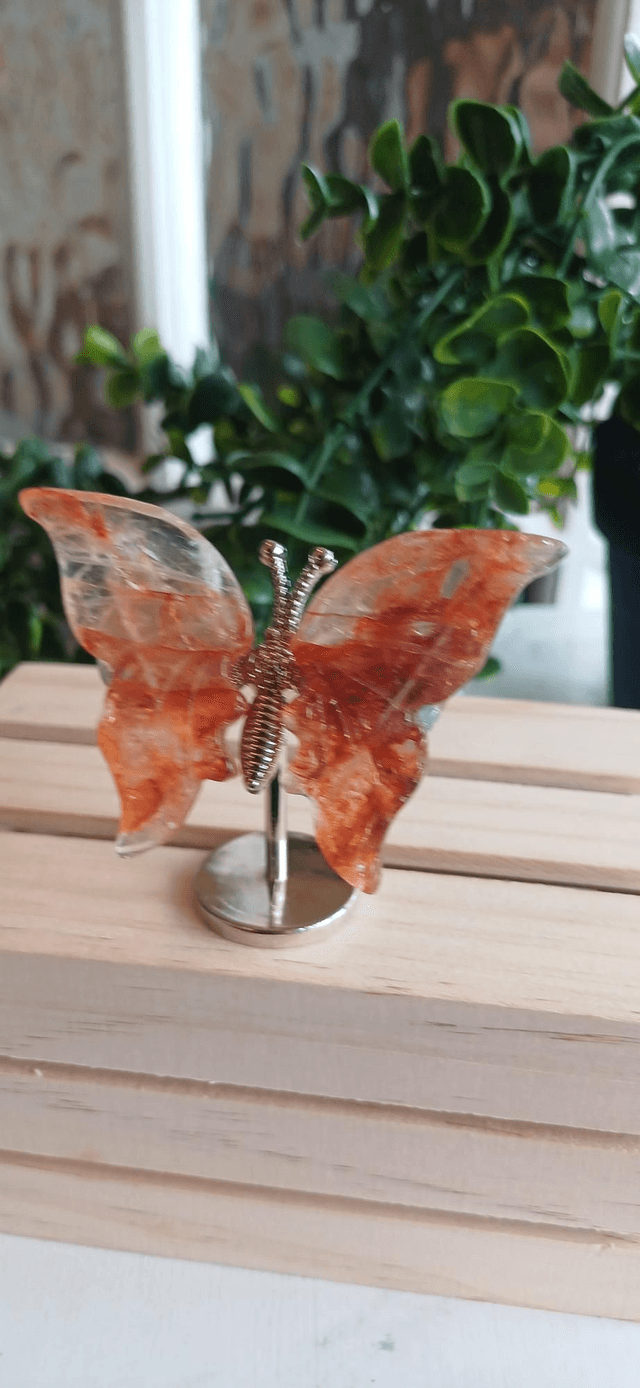 Fire Quartz Butterfly Wings on Silver Stand