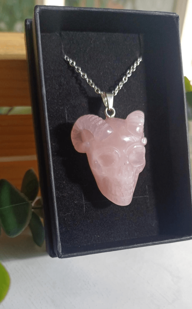 Horned Skull Pendant and 925 silver plated necklace