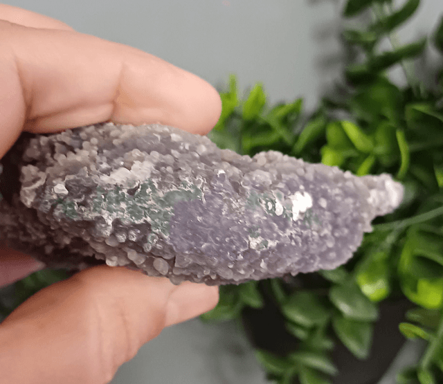 Green and Purple Grape Agate (205g)