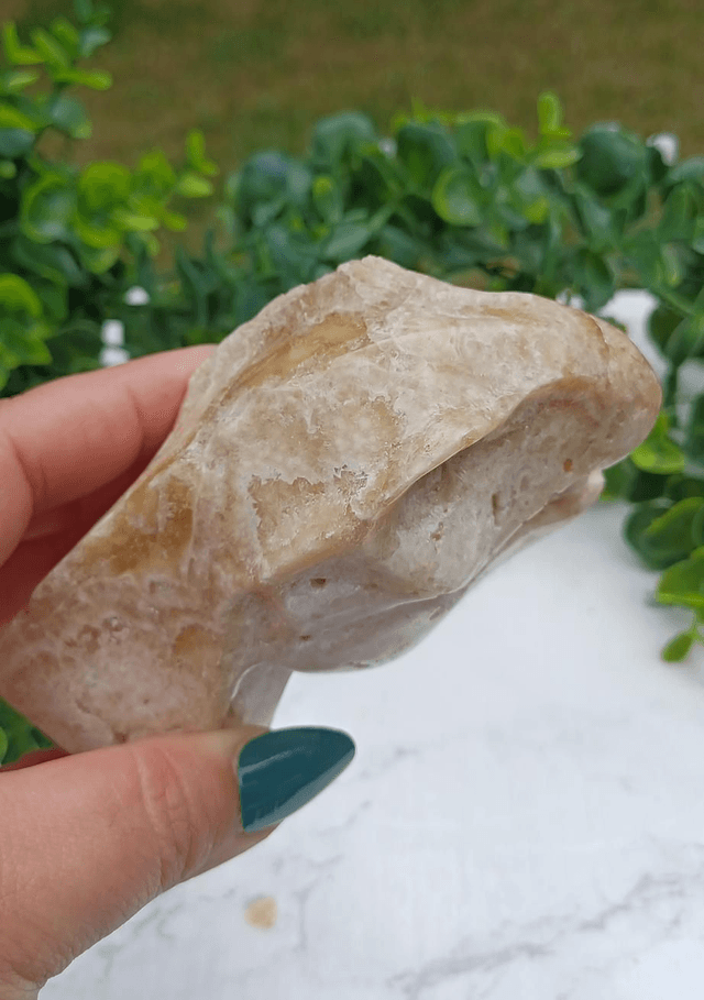 Amber Calcite T-Rex Dinosaur Crystal | Natural Stone Carved and Polished Tyrannosaurus Rex Head no. 2