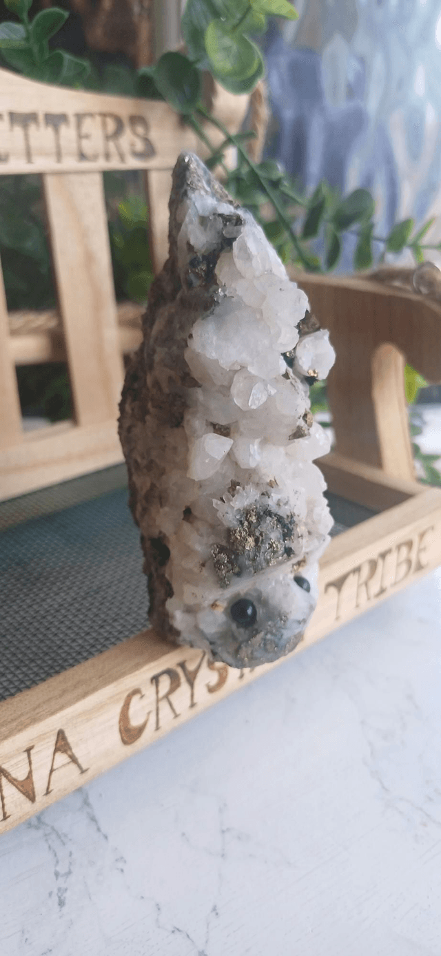 Arum - Crystal Critter 