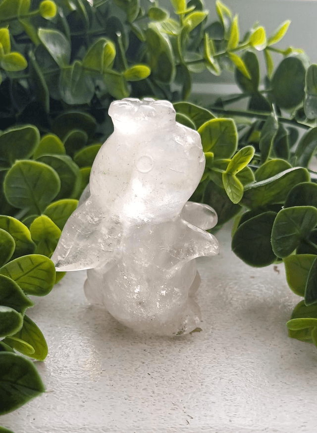 Clear Quartz moon facing Rabbit