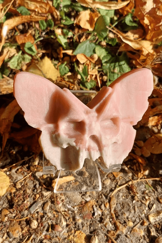 Skull Moth 