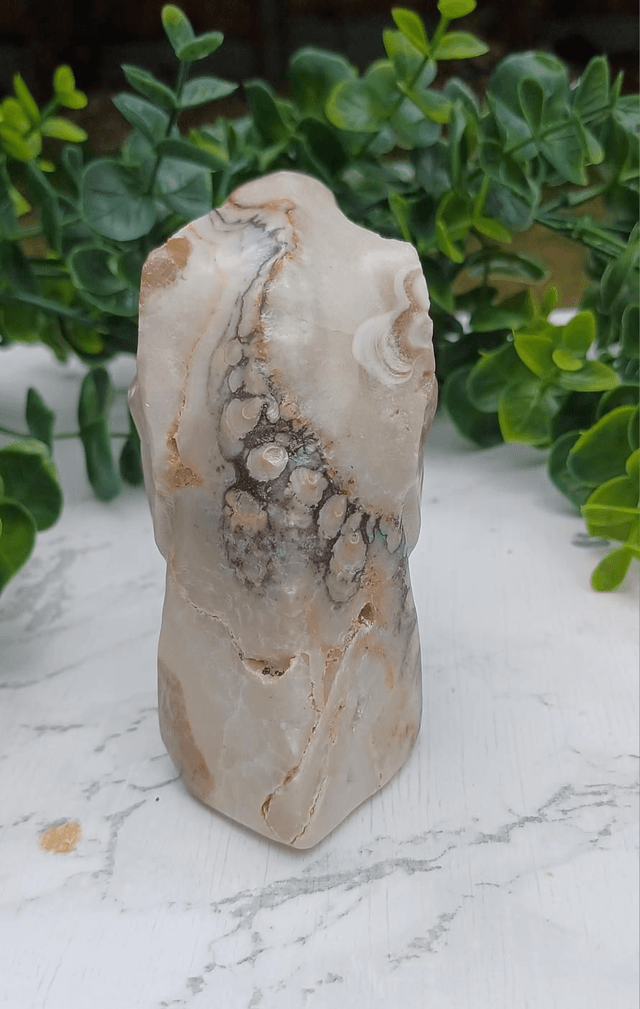 Coral Jade T-Rex Dinosaur Crystal | Natural Stone Carved and Polished Tyrannosaurus Rex Head 